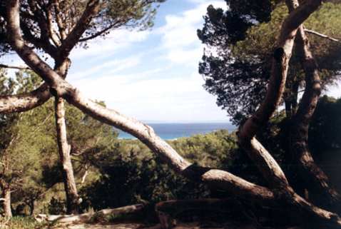 Formentera,Spanien