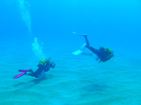 Ocean Trek,Playa Americas,Teneriffa,Kanarische Inseln,Spanien