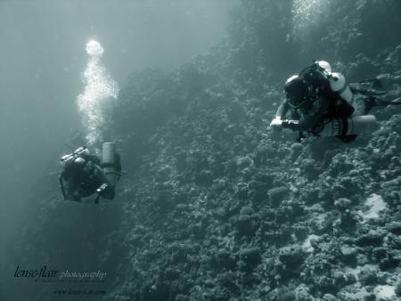 African Divers,Nuweiba,Sinai-Nord ab Dahab,Ägypten