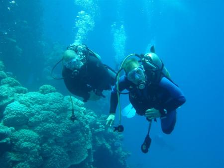 Bavaria Blue Diving,Hurghada,Ägypten