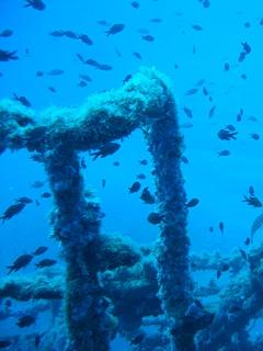 Orosei Diving Center  (Sardinien),Sardinien,Italien