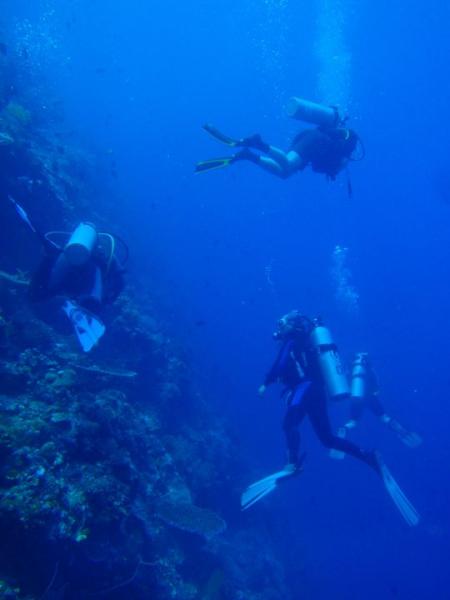 Immanuel Dive Center - Daniels Homestay - Bunaken,Sulawesi,Indonesien