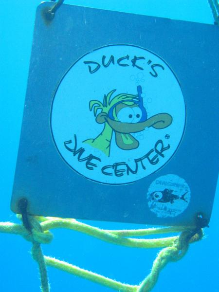 Ducks Dive Center,Safaga,Ägypten
