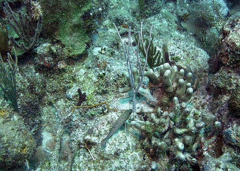 Bayahibe - Parque Nacional II, Bayahibe,Dominikanische Republik