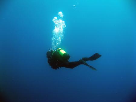 Dive & Fun,Cala D´Or,Mallorca,Balearen,Spanien