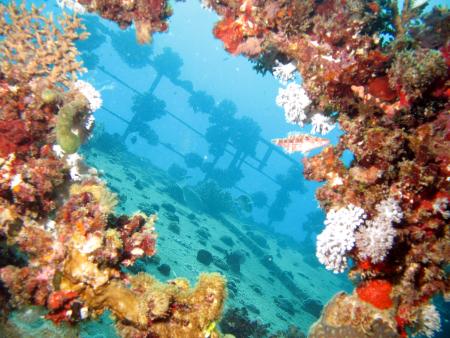 Beachsafari Diving Camp Marsa Alam,Marsa Alam und südlich,Ägypten