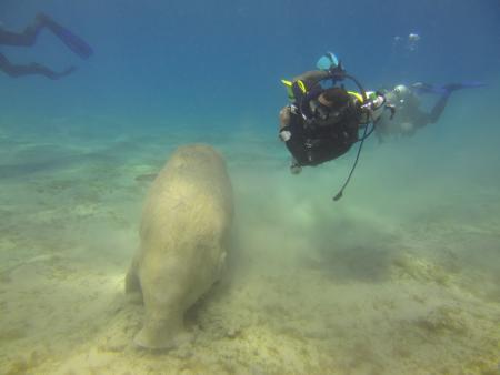 Beachsafari Diving Camp Marsa Alam,Marsa Alam und südlich,Ägypten