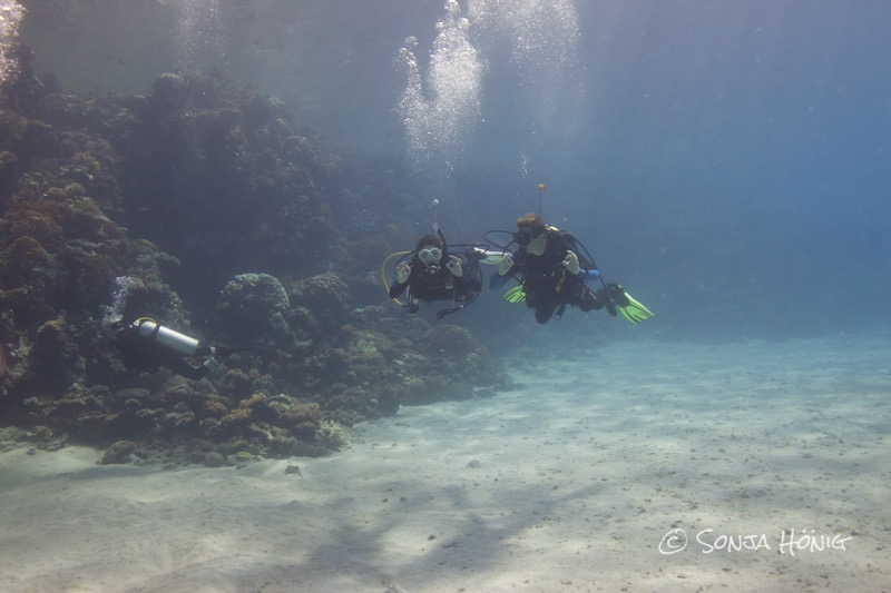 Abu Dabab, diving.DE Akassia, Ägypten, El Quseir bis Port Ghalib