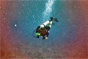 Jack´s Diving Locker,Kona,Big Island,Hawaii,USA