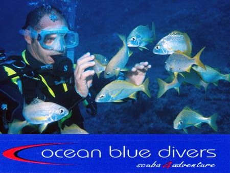 Ocean Blue Divers,Puerto Santiago,Teneriffa,Kanarische Inseln,Spanien