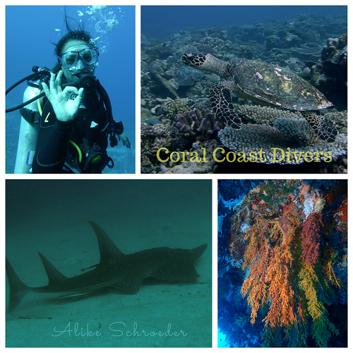 Coral Coast Divers (ex Dive Crusoe), Fidschi