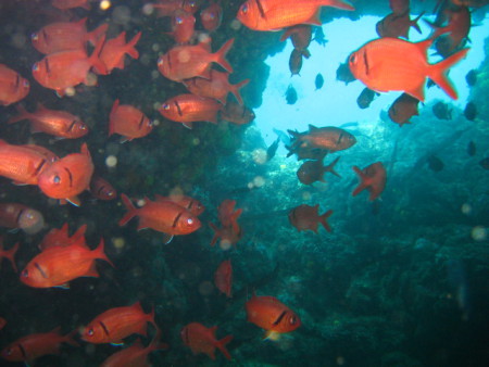 Dive Center Santiago,Kap Verde