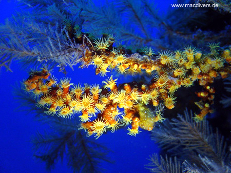 El Hierro, El Hierro,Spanien
