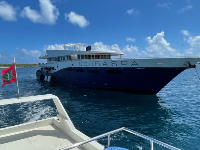 Das Schiff, Scubaspa Yang, Malediven