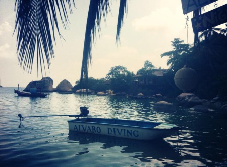 Alvaro Diving,Koh Tao,Golf von Thailand,Thailand