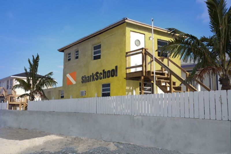 Sharkschool auf Walker's Cay, Bahamas