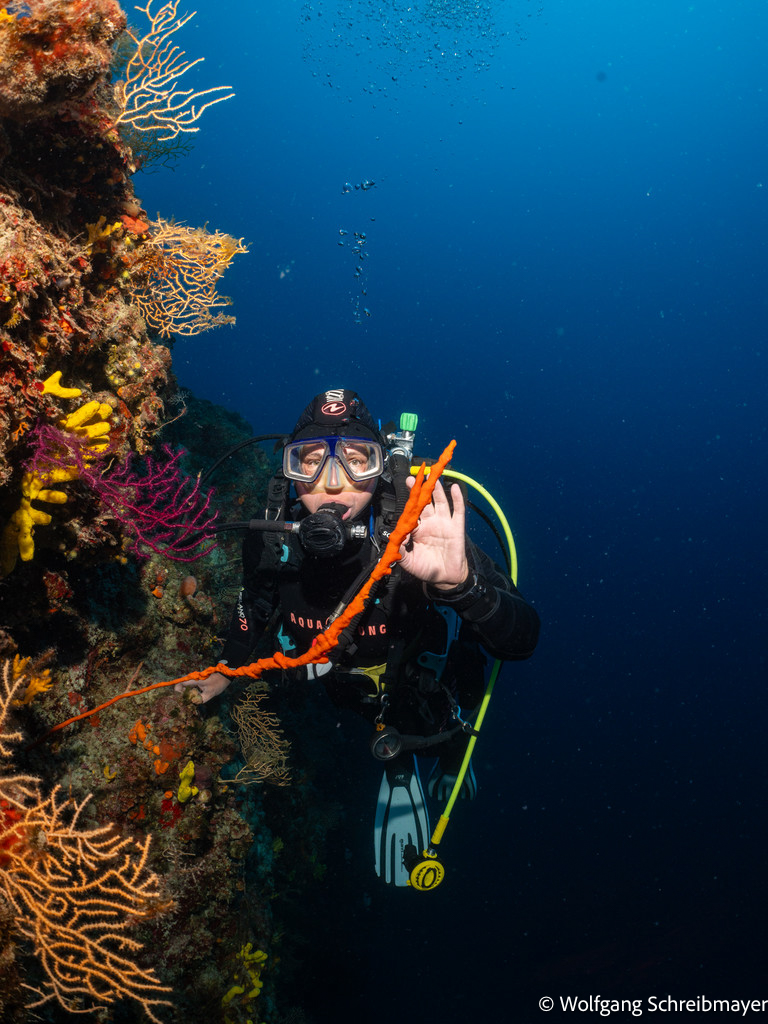 Punta Diving, Betina, Kroatien