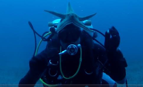 We Shall Sea Scuba Dive, Amorgos, Griechenland