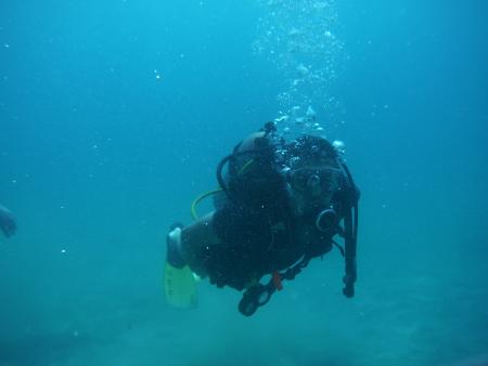 Scuba Pelicano,Isla Margarita,Juan Griego / Venezuela,Venezuela