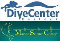 Tauchen mit Robben - Ostsee