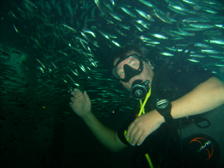 Santana Diving,Phuket,Andamanensee,Thailand