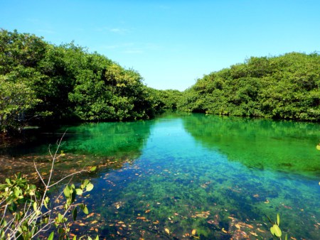 Planet Scuba Mexico,Mexiko