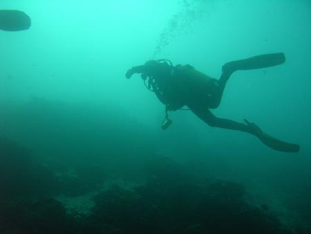 Pearl Andaman diving,Andamanensee,Thailand