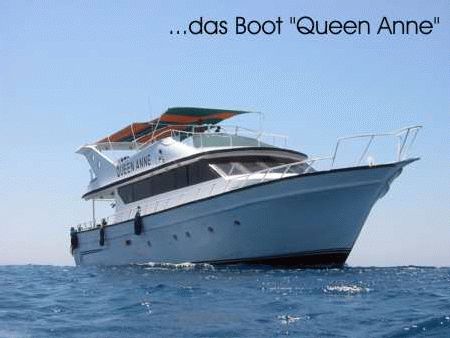 Go Dive DC `Paradise`,Hilton Sharm Waterfalls Resort,Sharm el Sheikh,Sinai-Süd bis Nabq,Ägypten