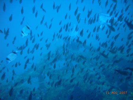 Alyssa Diving Center,Monastir,Tunesien