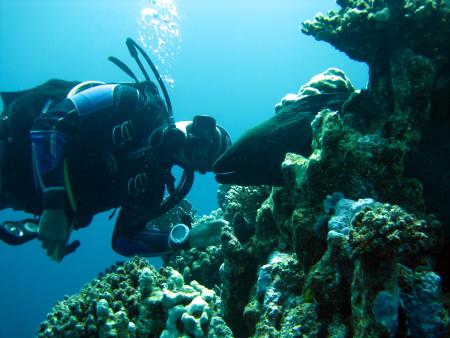diving.DE el Flamenco,El Quseir bis Port Ghalib,Ägypten