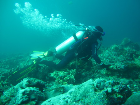 South - Sulawesi - Diver (Bira),Sulawesi,Indonesien