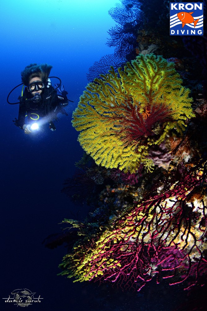 KRON Diving Center, Kampor, Insel Rab, Kroatien