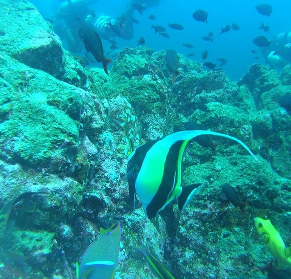Cano Divers, Drake Bay, Costa Rica