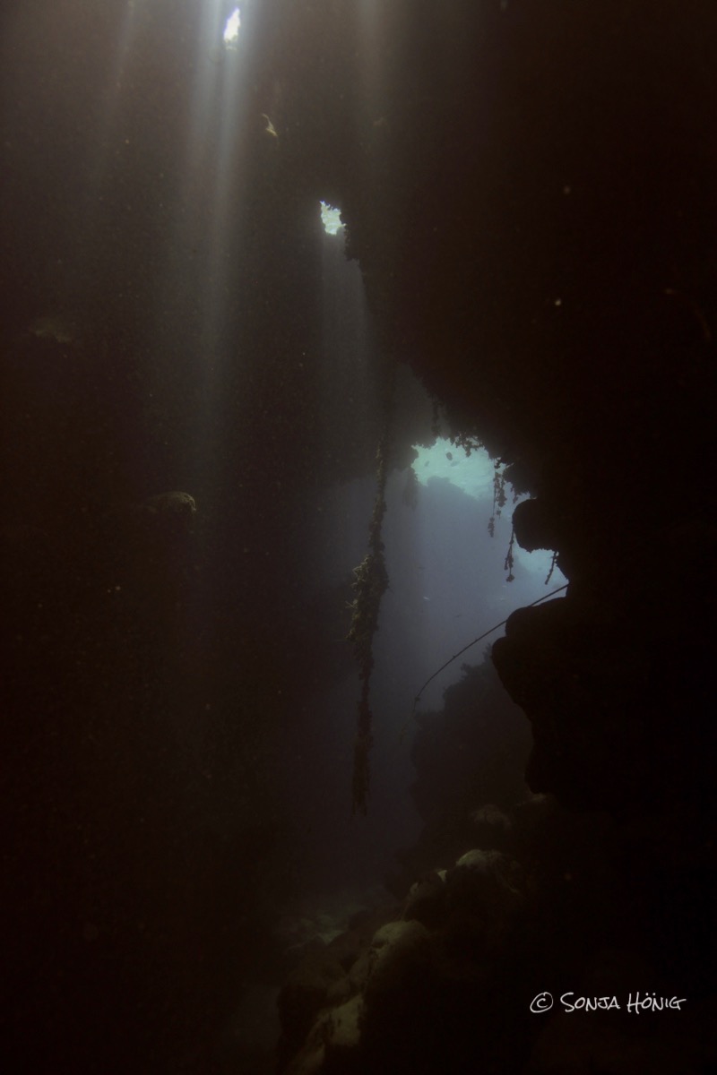 TG Caves mit herrlichen Lichtspielen, diving.DE Akassia, Ägypten, El Quseir bis Port Ghalib