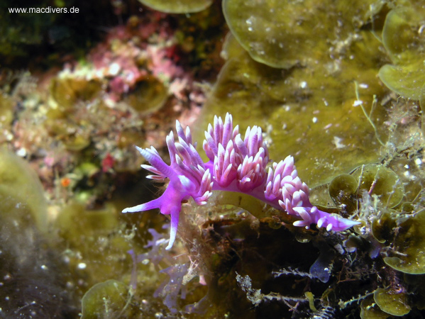 El Hierro, El Hierro,Spanien