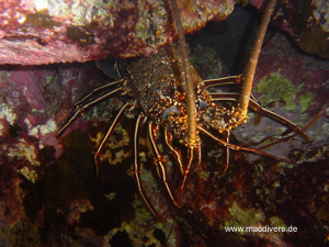 El Hierro, El Hierro,Spanien