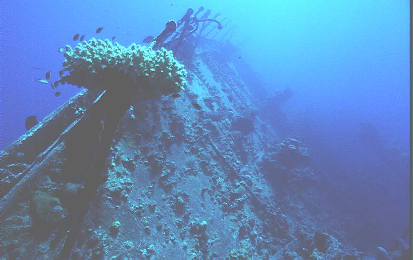 Wrack - Umbria, Umbria - Wingate Reef,Sudan