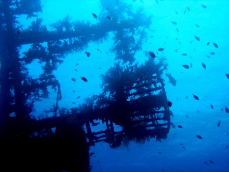 Yazan Alsaed´sYasmena Diving and Snorkeling Boat,Aqaba,Jordanien