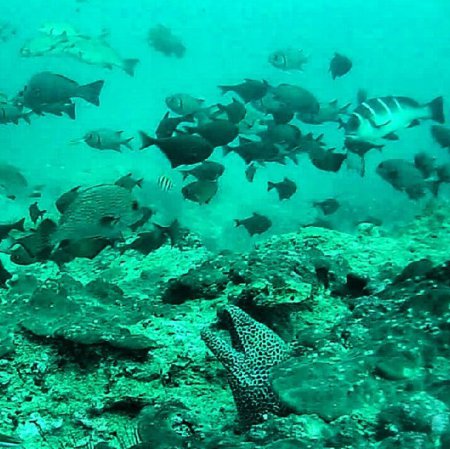 Extra Divers Mirbat,Oman