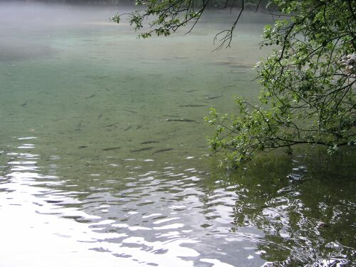 Badersee, Badersee,Bayern,Deutschland