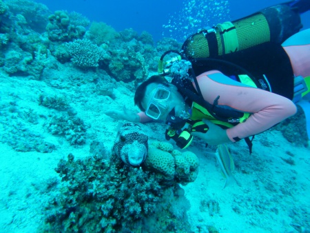 Blue Brothers Diving,El Gouna,Hurghada,Ägypten