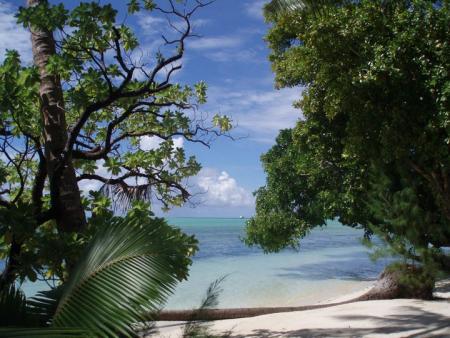 Carp Island Resort,Palau