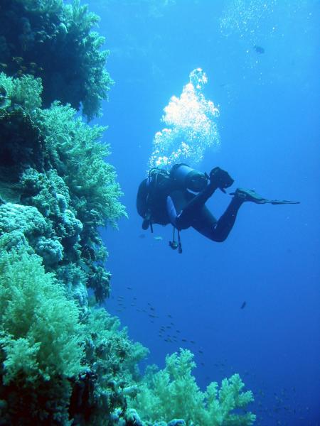 Bavaria Blue Diving,Hurghada,Ägypten