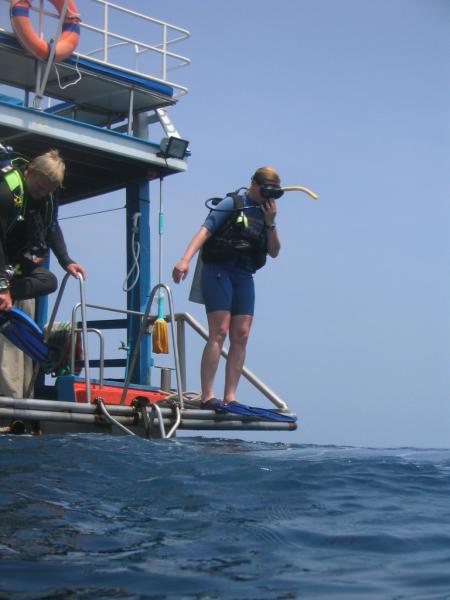 Calypso Diving,Koh Samui,Golf von Thailand,Thailand