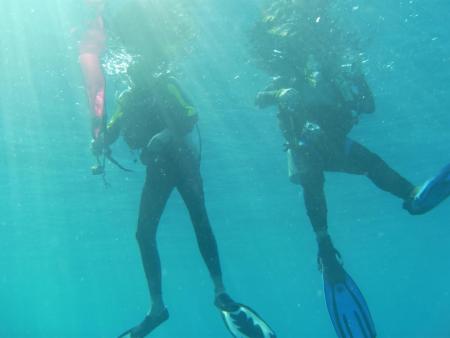 Orca Dive Club Labuan Bajo Flores,Allgemein,Indonesien