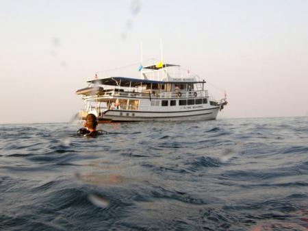 M/V Flying Seahorse,Thailand