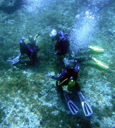Barakuda Oktopus Diving,Paguera,Mallorca,Balearen,Spanien