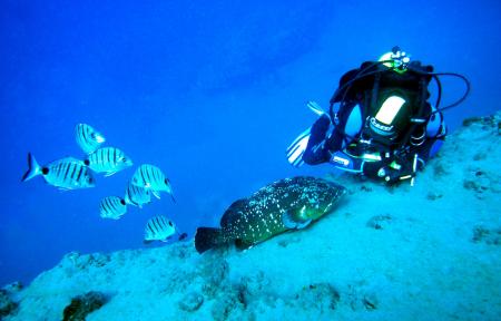 R.C. Diving,Puerto del Carmen,Lanzarote,Kanarische Inseln,Spanien