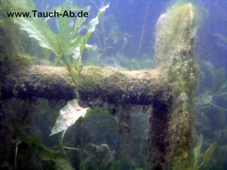 Tauchbasis Stechlin,Neuglobsow / Brandenburg,Brandenburg,Deutschland