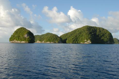 NECO Marine,Palau